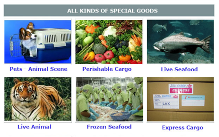 viconlog-services-air1